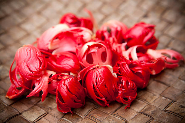 Mace spice from Kerala
